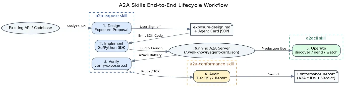 The a2acli skills workflow: a2a-expose designs and implements an A2A exposure, a2a-conformance audits it against the spec, and a2acli operates the live agent — discovering capabilities, authenticating, and sending tasks.